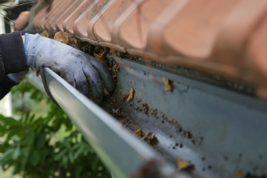 How to Clean Roof Gutters